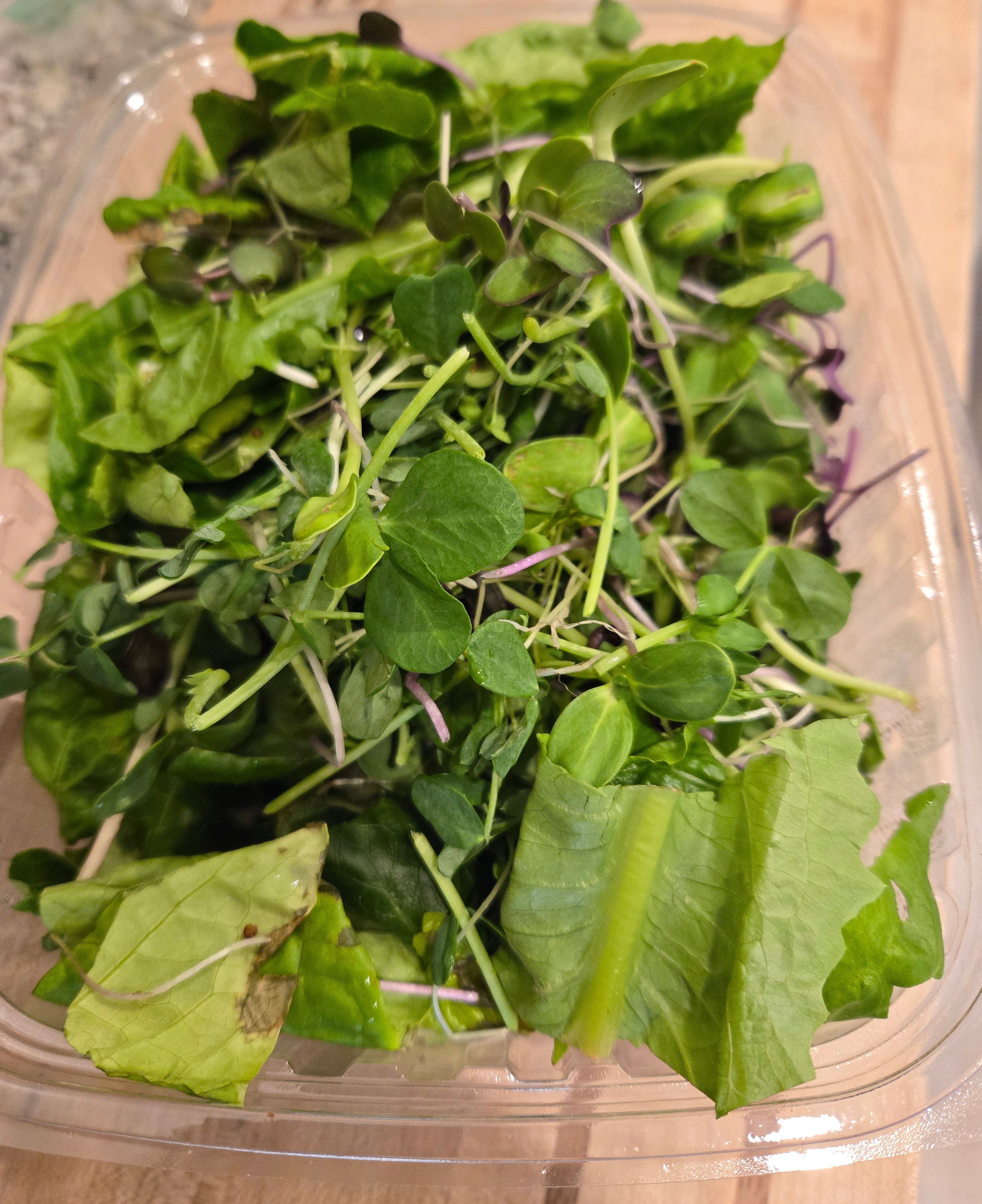Microgreens Salad (Mix Iceberg/Romaine)