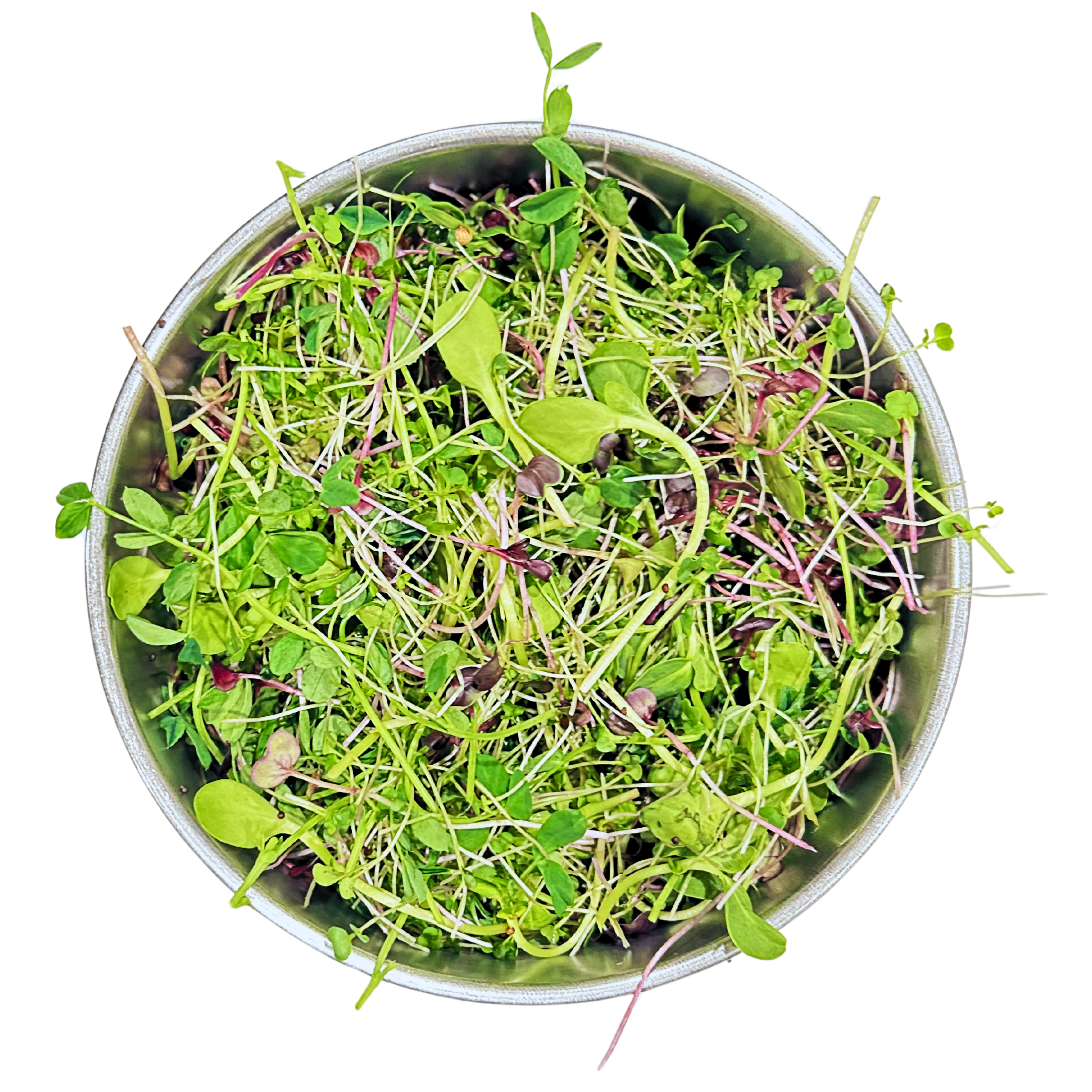 Crunchy Mix (2oz)