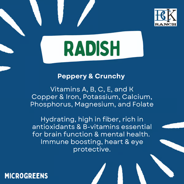 Radish (2oz)