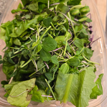 Red Iceberg Salad, ½ lb salad