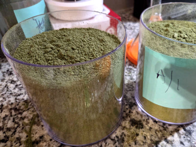 Two clear canisters filled with bright green freeze-dried microgreen powder