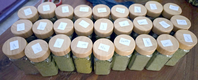 Freeze-dried microgreen jars with bamboo lids, each hand-labeled on top, filled in a small batch